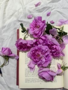 Pink roses scattered over an open book with Arabic writing, creating a poetic and artistic scene.